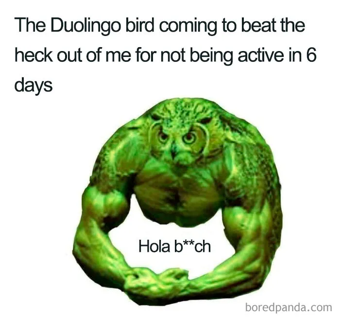 Buff Duolingo owl humorously confronting user for inactivity.