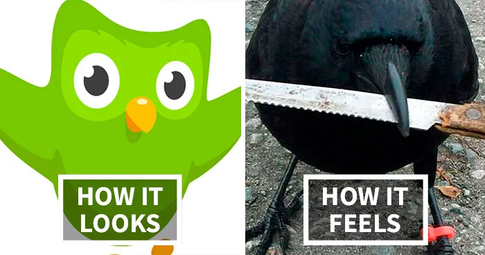 30 Hilarious Duolingo Memes