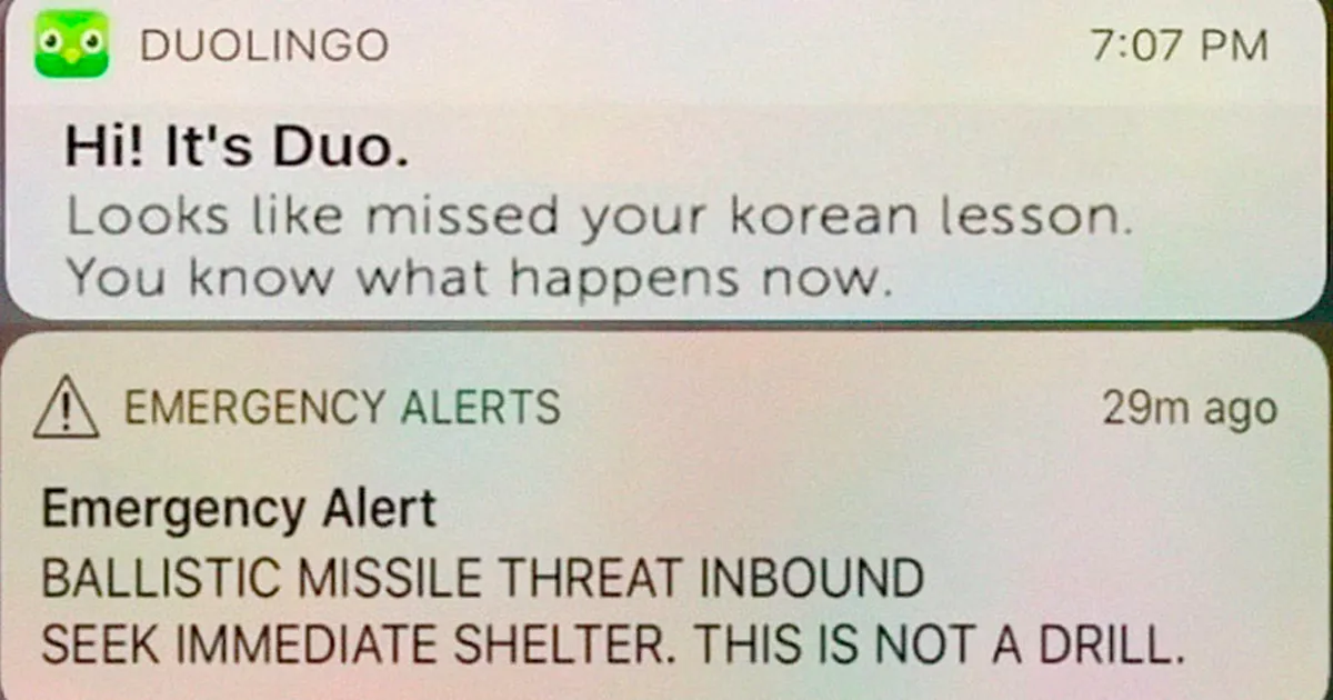 30 Hilarious Duolingo Memes