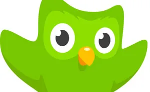 30 Hilarious Duolingo Memes