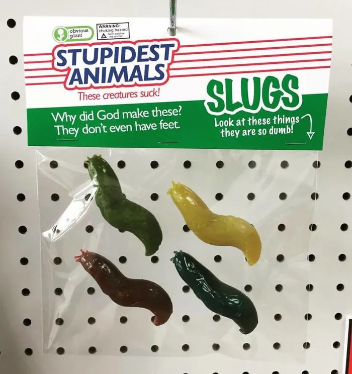 'Obvious Plant' Leaves Hilarious Fake Products In Real Stores