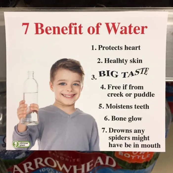 'Obvious Plant' Leaves Hilarious Fake Products In Real Stores