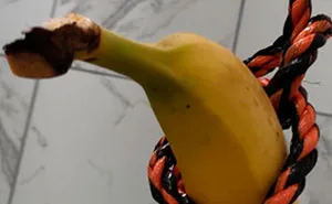 This Guy Takes A Knock-Knock Joke To The Next Level By Kidnapping Friend's Banana Family