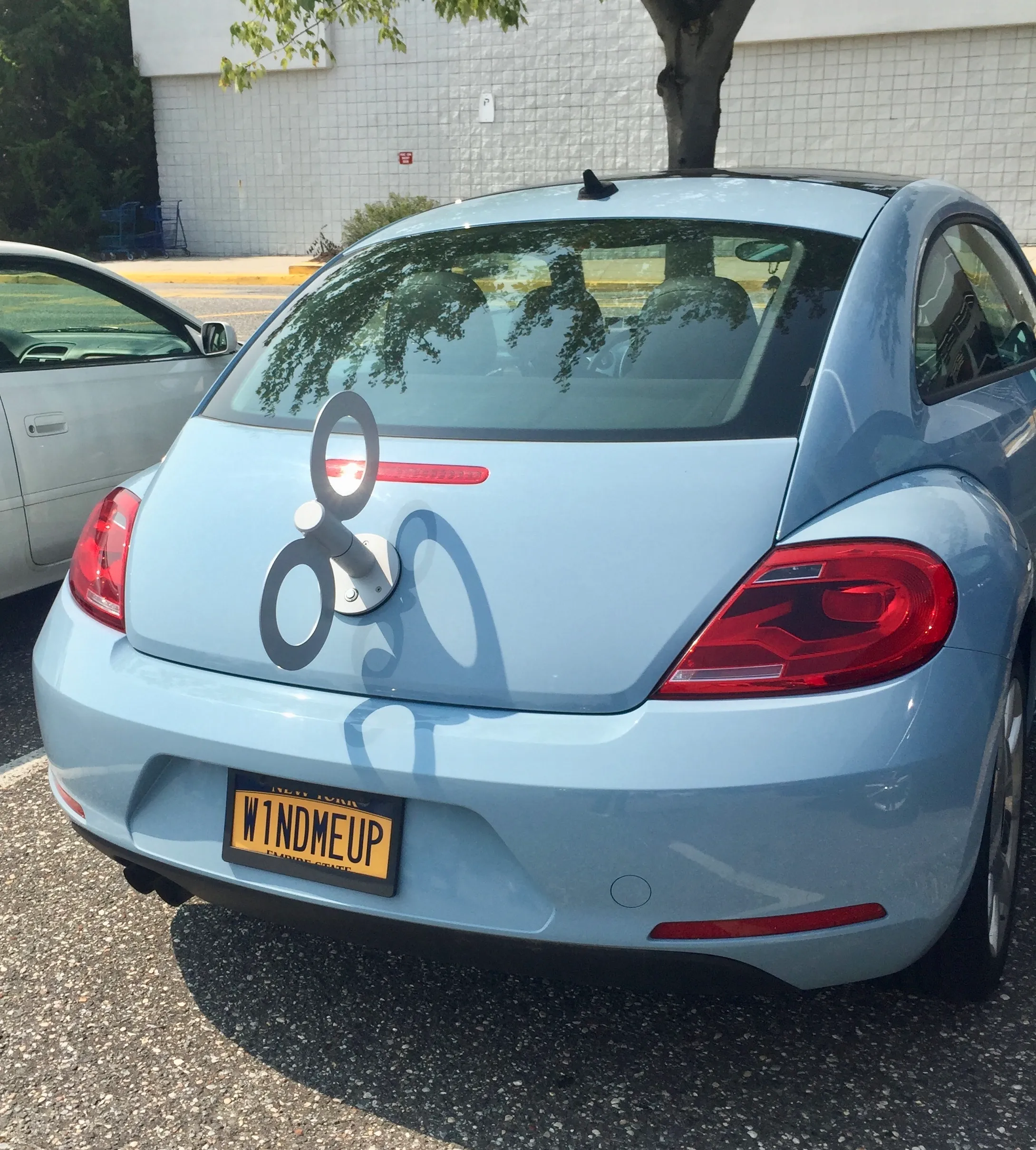 Best License Plates