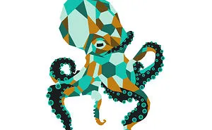 Geometric Octopus