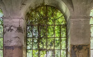 I Explored Abandoned Asylums To Capture What The Patients Would Have Seen Through Their Windows (30 Pics)