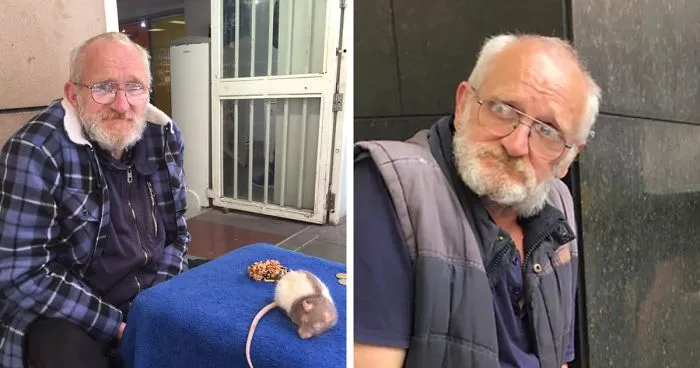 Homeless Man Asks People For Help After His Beloved Pet Rat Gets Stolen