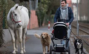 Horse Goes On A Walk Alone Every Day For 14 Years, Receives Pets And Treats From Residents