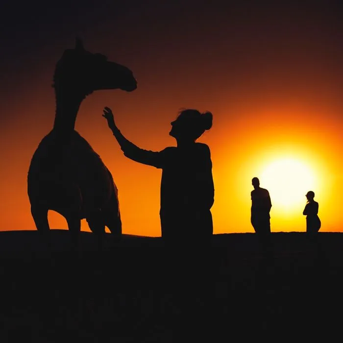 Abu-Dhabi Experience