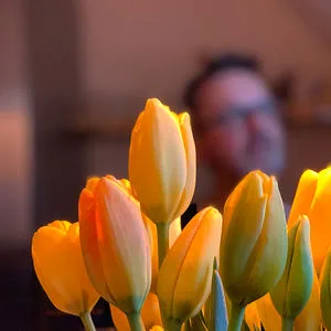 petersilie