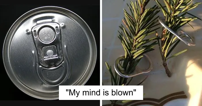 Seattle Man Has Been Feeding A Crow Family For Years, Has His "Mind Blown" After They Bring Him Presents