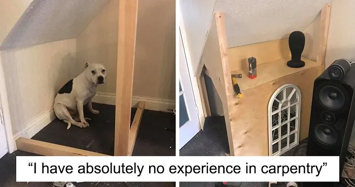 This Dog Has Trust Issues, So The Owner Built A 'Boudoir Bedroom' That Even Has A 'TV', To Comfort Him
