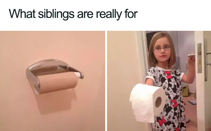 30 Of The Best Sibling Memes Ever