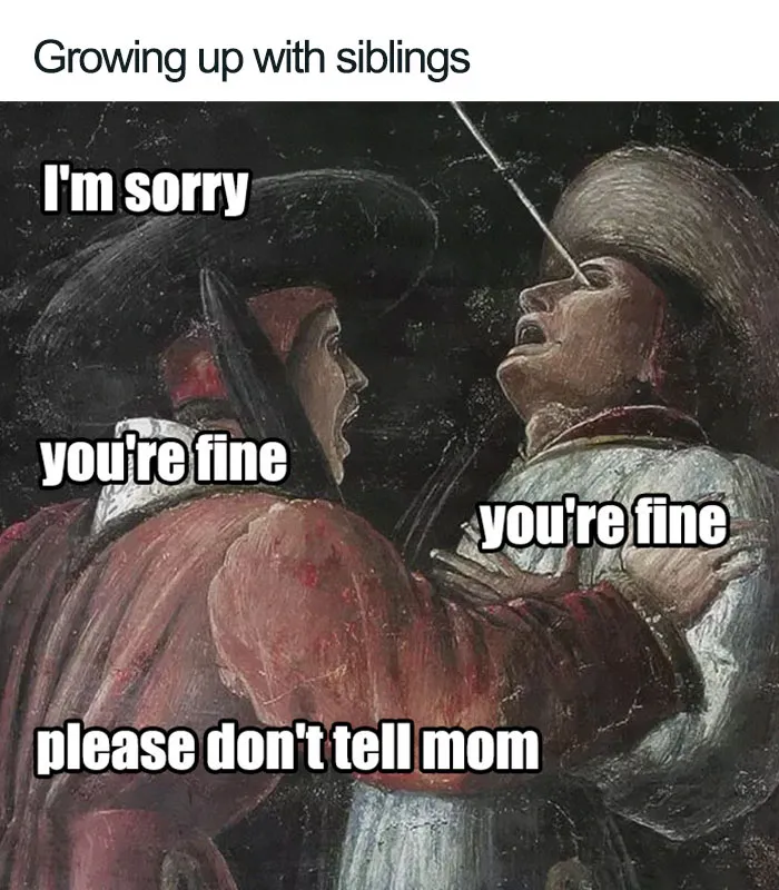 30 Of The Best Sibling Memes Ever