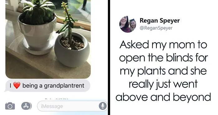 Daughter Asks Her Mom To Take Care Of Her Plants, Mom Uses It As An Opportunity To Hint About Wanting Grandkids