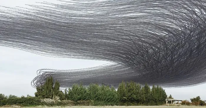 10 Stunning Photos That Capture The Flight Patterns Of Birds By Xavi Bou