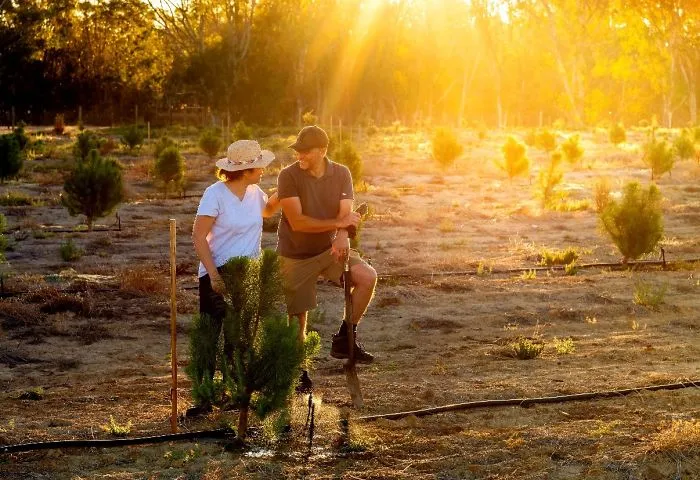 The Rise In Organic Foods