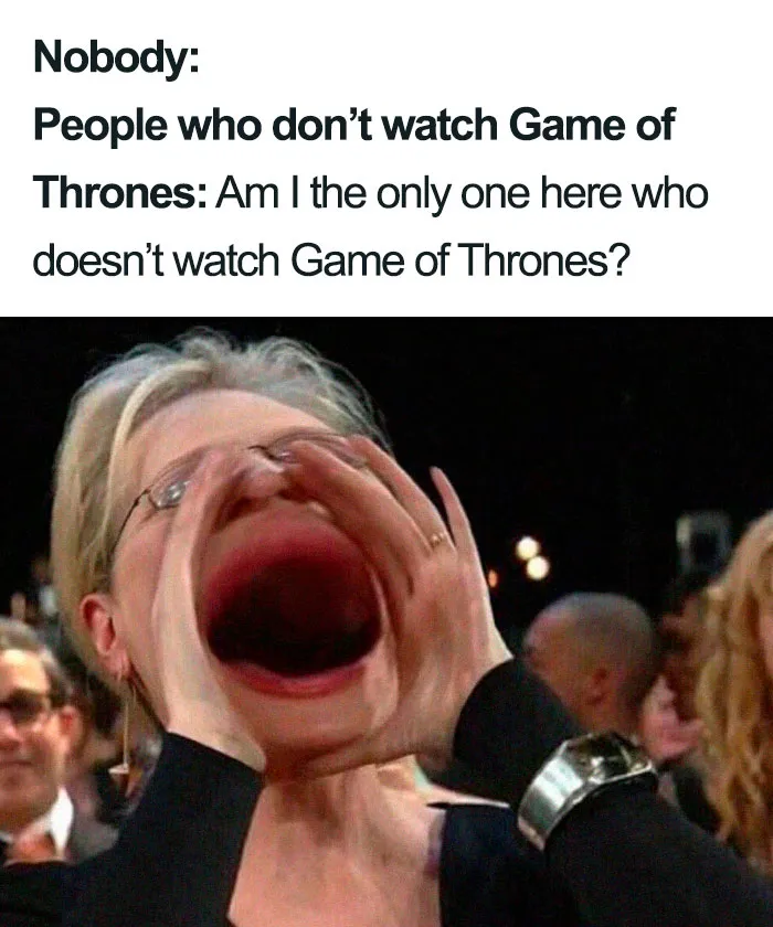 20 Fans Roasting People Who Claim They Don't Watch Game Of Thrones