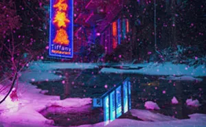 I Traveled From Finland To Hong Kong To Finish My Series Of The Contrasting Combination Of Nature And Neon Lights