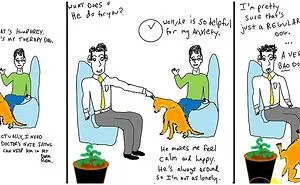 13 Cartoons From Shrunk Md
