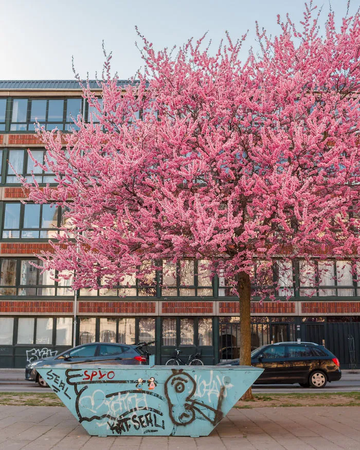 Vesterbro