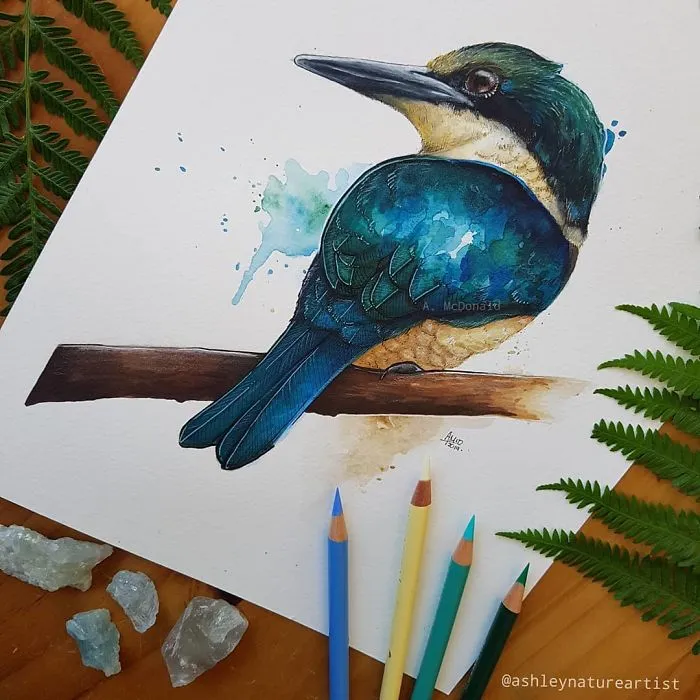 My 30 Animal Portraits That I Painted Using Watercolors And Pencils