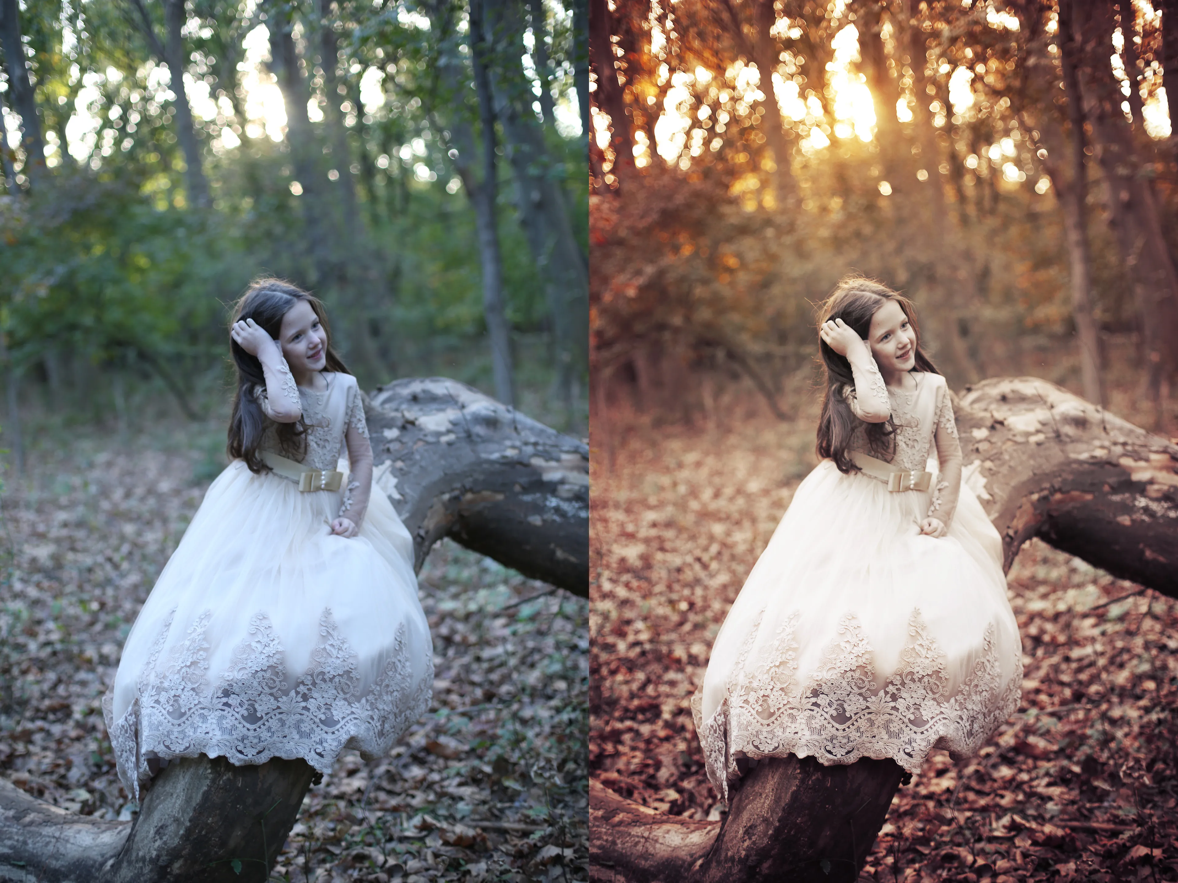 Autumn Colors