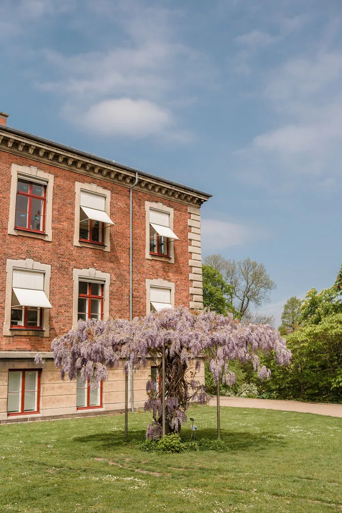 Botanisk Have
