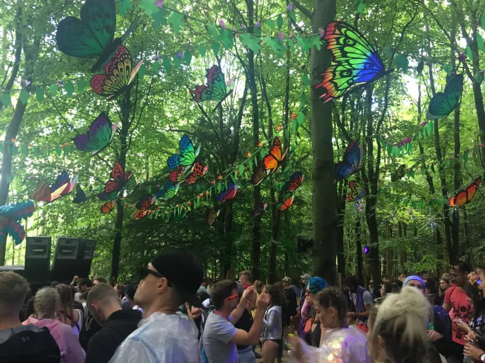 Festival Fanatics