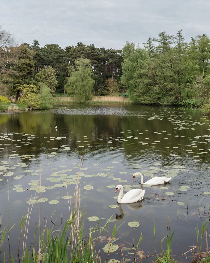 Botanisk Have