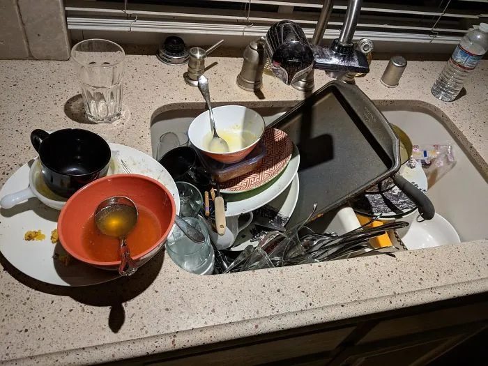 He Estado Enfermo Sin Salir De Mi Habitación Durante 4 Días Para No Contagiar A Mi Compañero De Piso Y A Su Novia. Y Ellos Han Dejado Los Platos Sin Lavar Todo Este Tiempo.