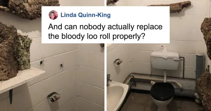 Someone Designed A Bathroom To House Giant Spiders And Its An Arachnophobia Nightmare