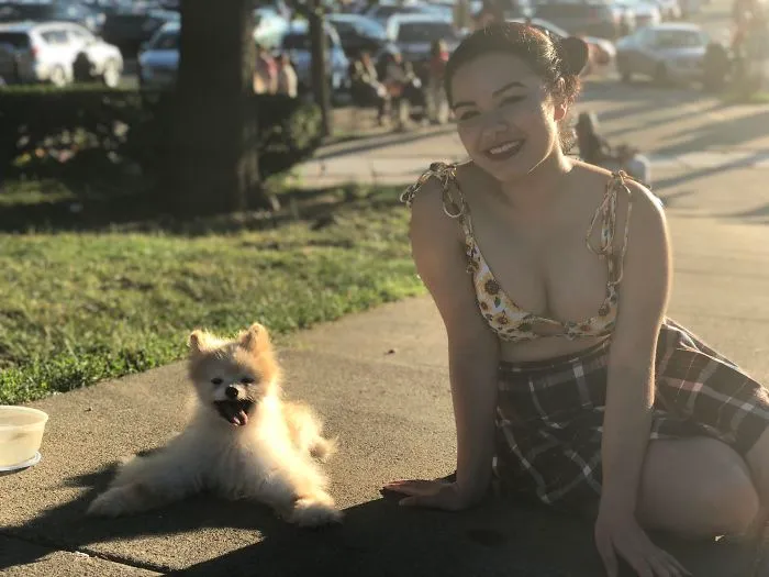 Este pomeranio parece un cachorro, pero tiene 17 años y se llama Buddy