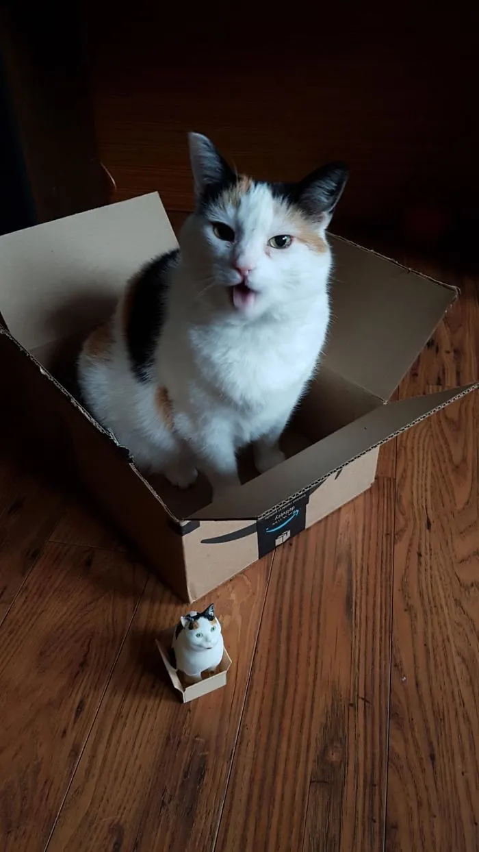 3D Printed And Painted My Cat
