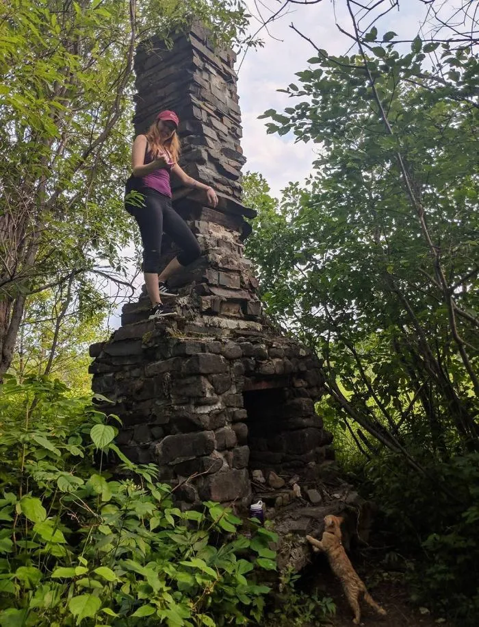 Chimenea en mitad del bosque