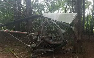 40 Times People Found Something Weird In The Woods And Just Had To Share
