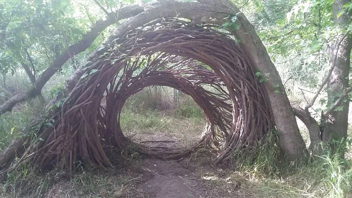 Hemos visto esto en el bosque