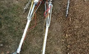 40 Times People Found Something Weird In The Woods And Just Had To Share