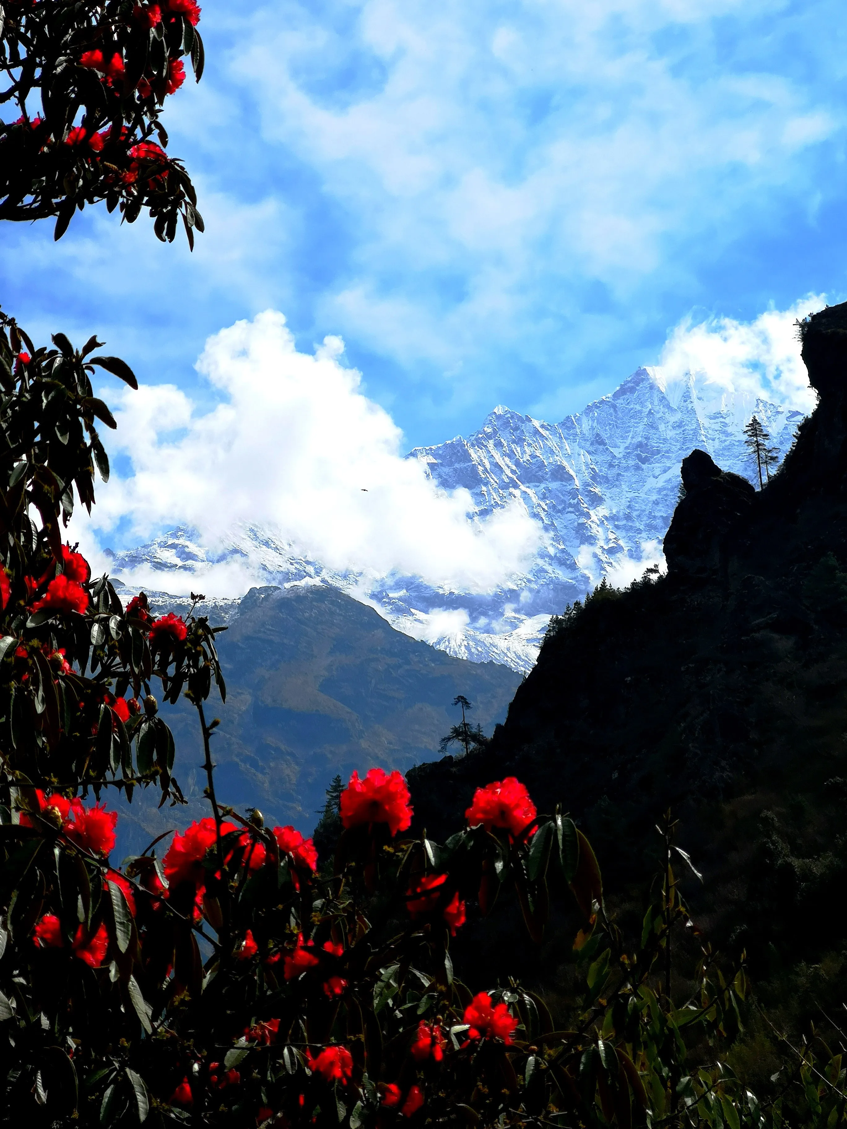 A Quick Hike To Mount Everest Bc