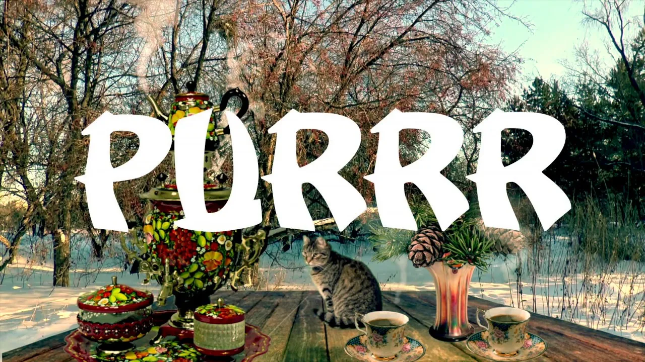 This Cats & Lyrics Video Make Me Purrr