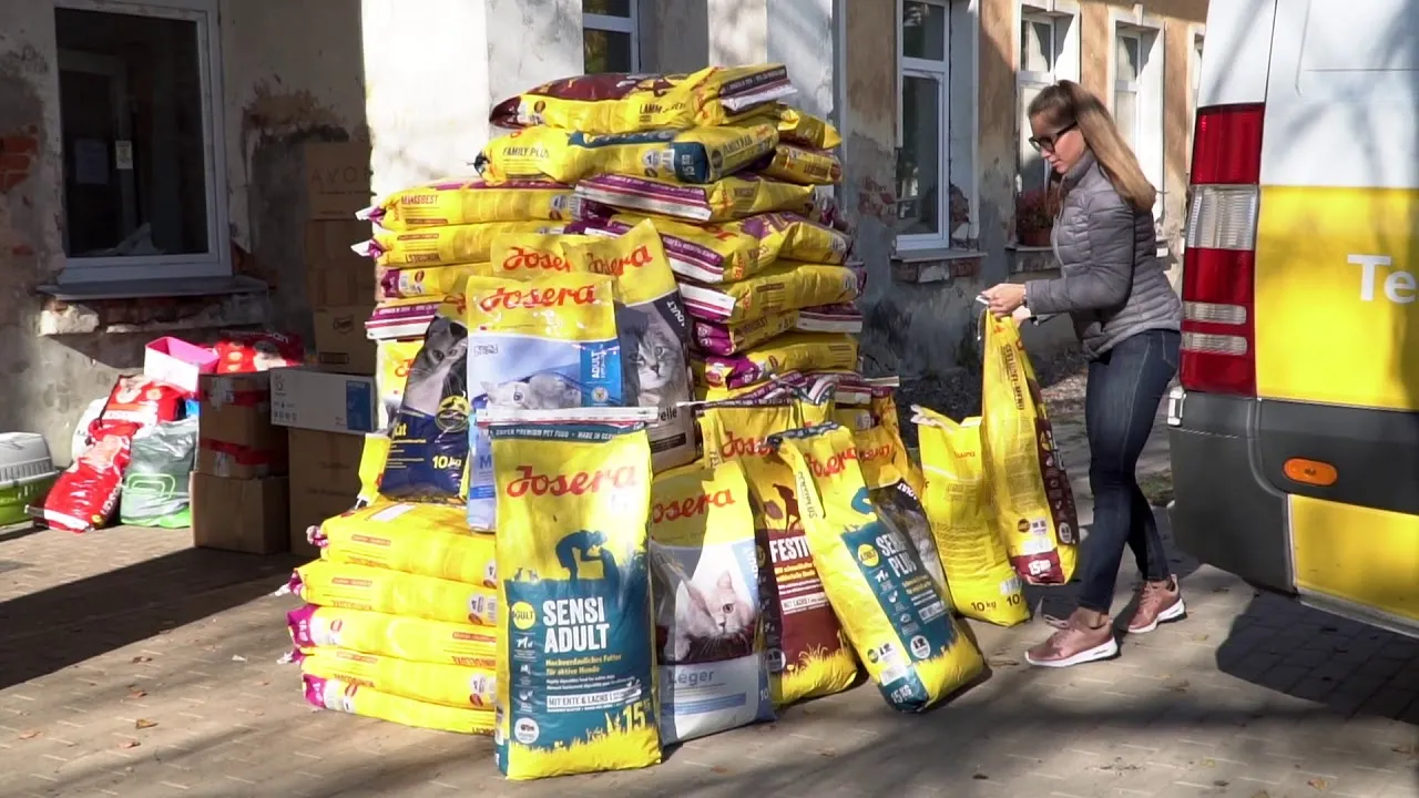 A Company From Lithuania Donated Over 11,000 Kg (24,250 Lbs) Of Super Premium Pet Food To Animal Shelters! Look How Happy They Are!