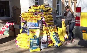 A Company From Lithuania Donated Over 11,000 Kg (24,250 Lbs) Of Super Premium Pet Food To Animal Shelters! Look How Happy They Are!