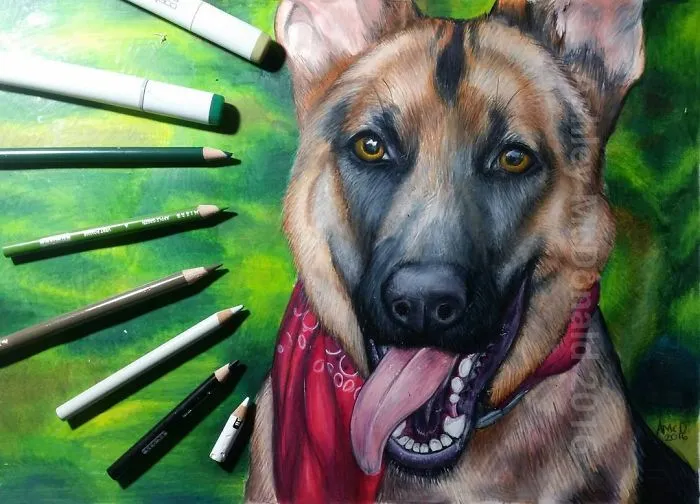 My 30 Animal Portraits That I Painted Using Watercolors And Pencils