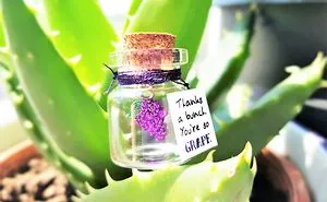 Cute Message In A Bottle