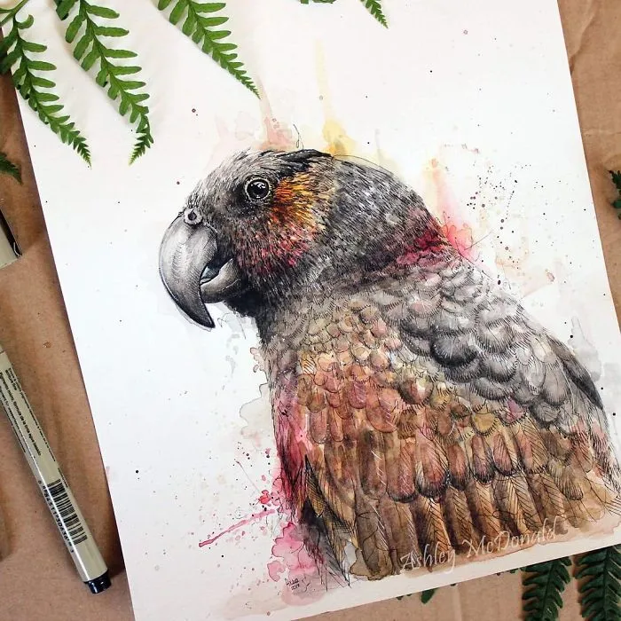 My 30 Animal Portraits That I Painted Using Watercolors And Pencils