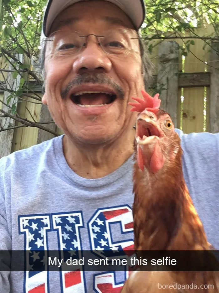 50 Times Birds Were So Funny, People Just Had To Snapchat Them