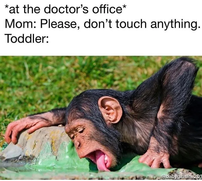 45 Funniest Memes That Sum Up Life As A Mom