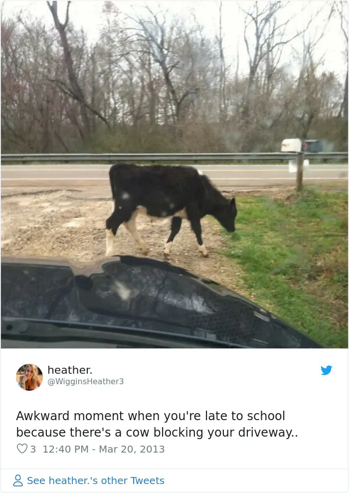 30 Memes That Summarize What Living In A Small Town Is Like