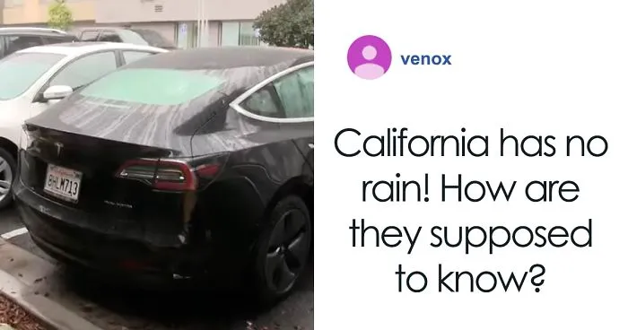 Tesla, World's Most Innovative Car, Leaves The Most Absurd Flaw In Their Design That Leaves Your Trunk All Wet