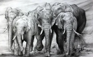 One Pen And One Month Later: Drawing My 5 Elephants